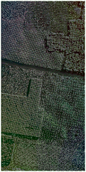 Résultats avec la technique originalement développée pour les peuplements denses d'arbres matures sur image de résolution spatiale moyenne : Cliquez sur l'image pour agrandir