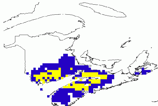 Carte de la probabilité d'apparition du chancre scléroderrien dans Nouveau-Brunswick et Nouvelle-Écosse