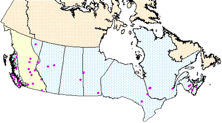 White Pine Weevil: map showing sample locations in Canada