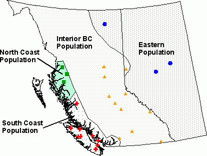 Map showing White Pine Weevil population locations in British Columbia and Alberta