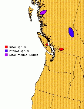Map showing location of resistant spruce poplulations in British Columbia